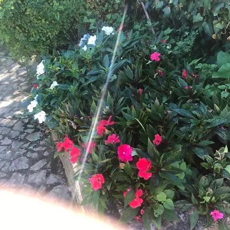 別荘 Garden Paradise With Pool For 4